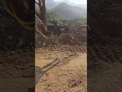 Tipo hidráulico WuYing, agarrador de escavadeira, agarrador de madeira de cinco garras, fato para escavadeira